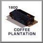 Coffee Plant - 1800