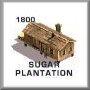 Sugar Plantation - 1800